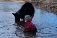 【動画】5匹のわんこと育った幼女の「犬みたいな行動」7選