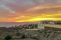 【動画】驚異の保存状態...テネリフェ島で発見された70万年前のトカゲ化石