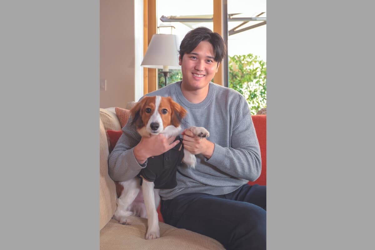 コーイケルホンディエのおでこちゃん おすわり VMCコンプリート 大谷