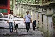 犬連れ参拝客に人気の神社が「ペット連れ禁止」の苦渋の決断