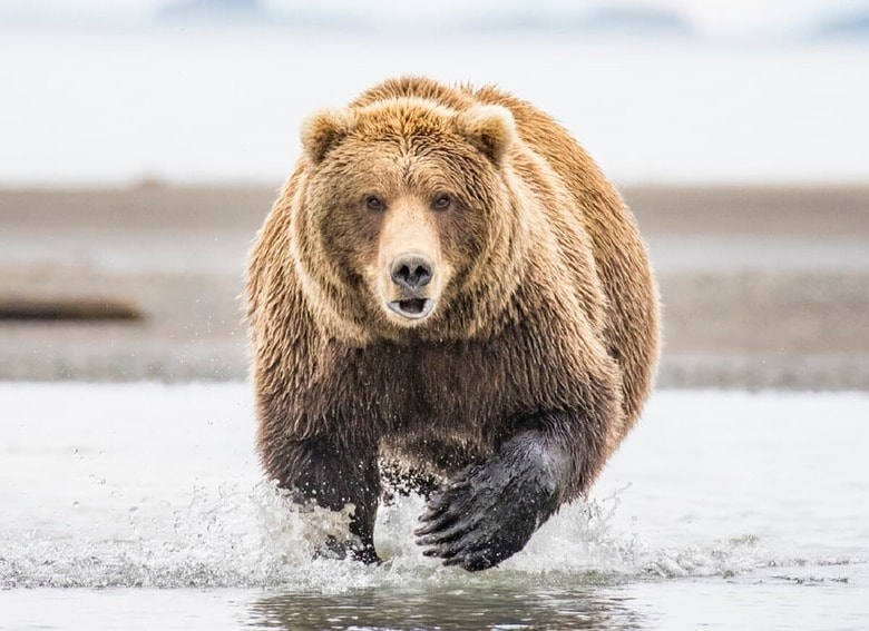 （写真はイメージです）　Jess Bray-iStock