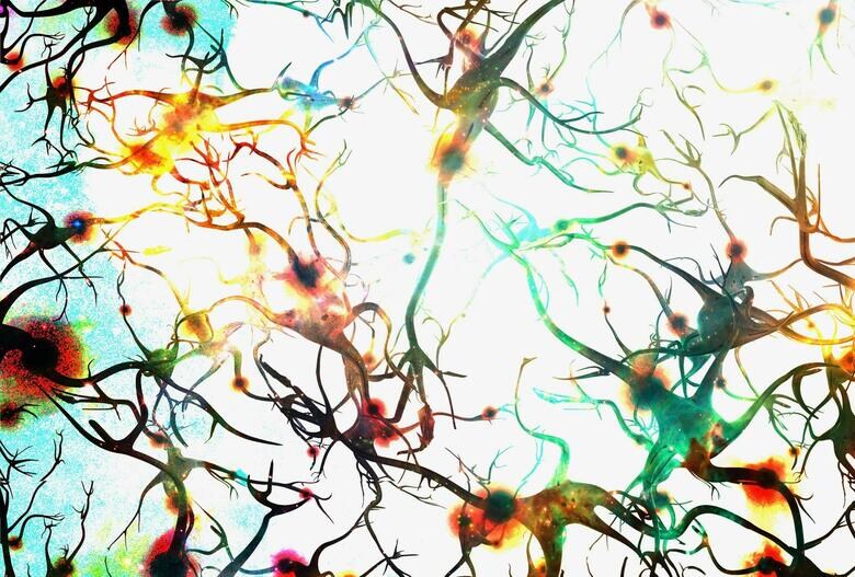 2つの海馬の断片をすぐそばに置くだけでニューロンの活動が伝達された bestdesigns - iStock