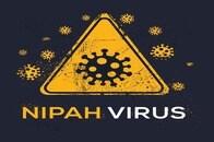 致死率は最大75％のニパウイルスが、世界規模で感染拡大する可能性は？　感染症の専門家の見解