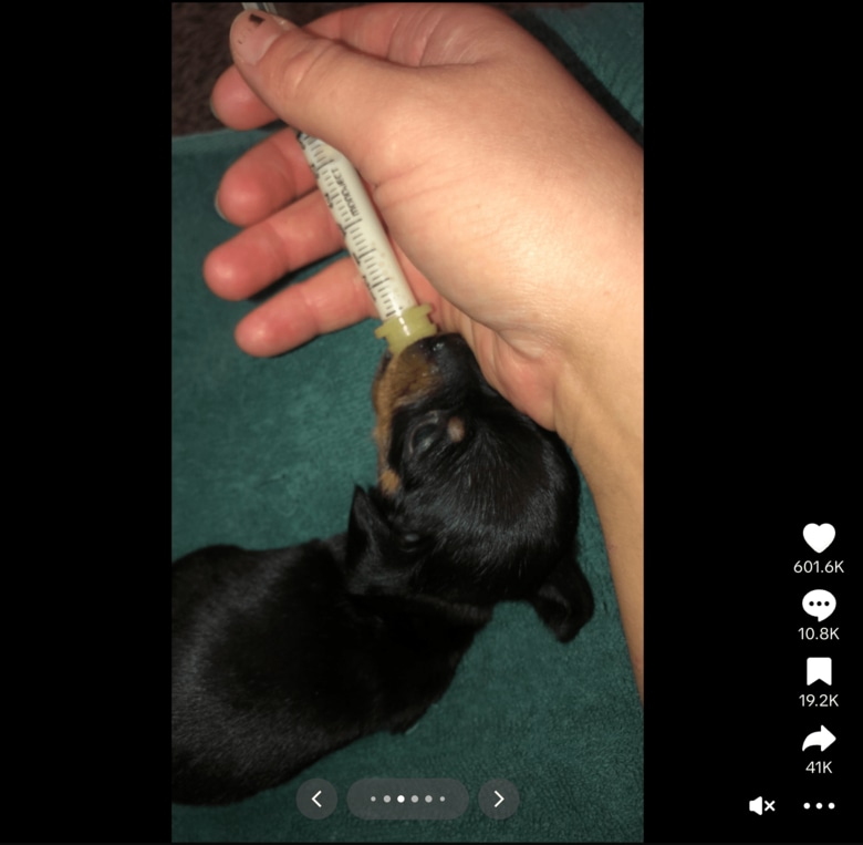 スクリーンショット 2025-09-03 19.08.16.png