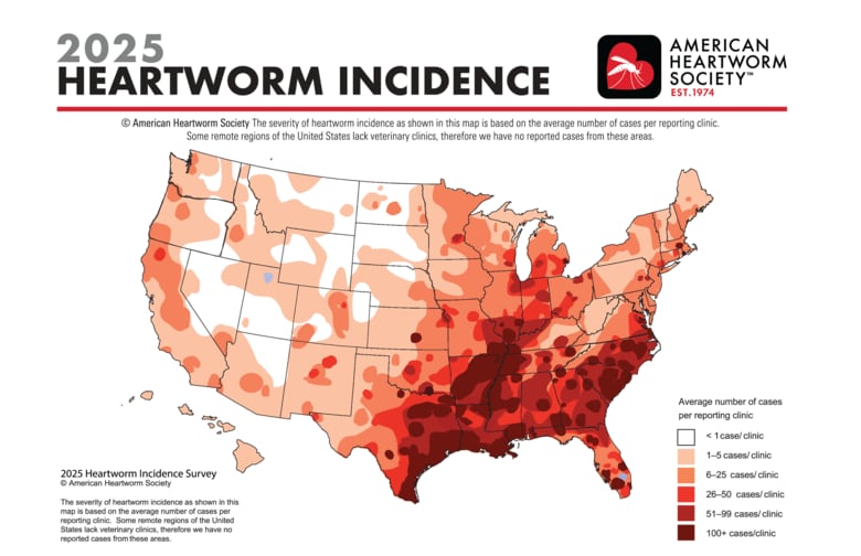 フィラリア症感染報告マップ　American Heartworm Society