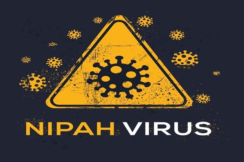 ニパウイルスの治療法は対処療法に留まる　khaleddesigner-shutterstock