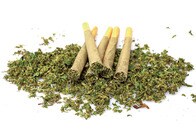 大麻は脳にどのような影響を及ぼすのか...? 高濃度の大麻を使用するとDNAが変化していく