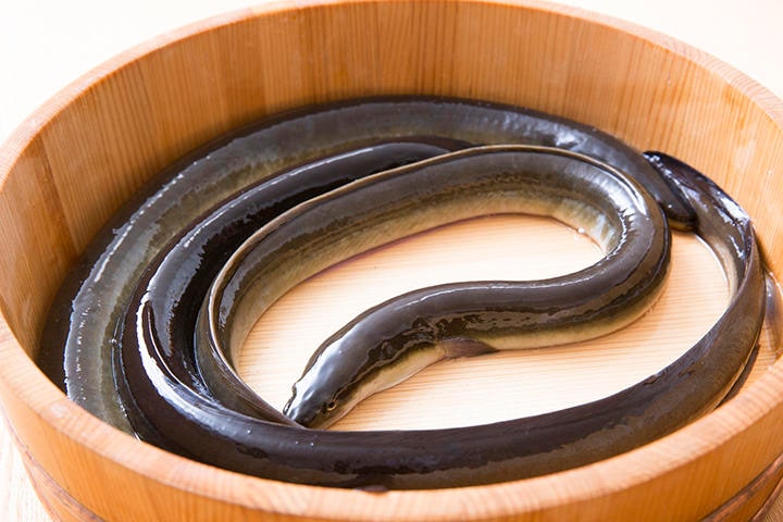 写真はイメージです　kazoka30-iStock