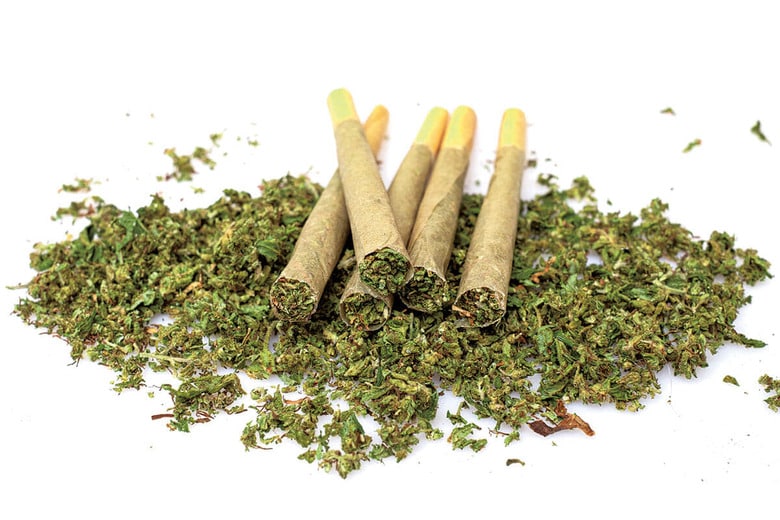 THC濃度が高い大麻を使用すると、精神障害を発症しやすいという　THICHA STUDIO/ISTOCK