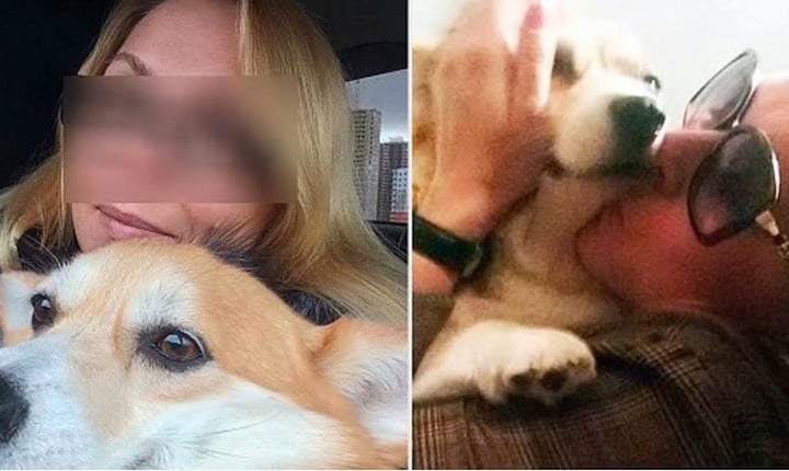 愛犬が遺体の元へ警察を引き連れた　Twitter- @MailOnline