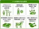 バイオ燃料の主な原料