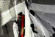 【動画】閲覧注意：耳に噛みつくアリ、枕元に巨大クモ...熱帯雨林のテント内で「虫の大群」に襲われる恐怖映像、被害者が公開