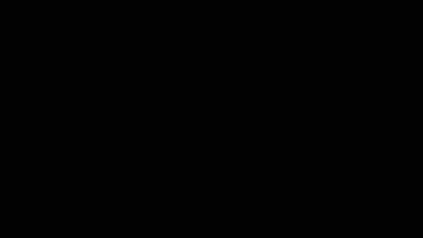 Videotogif.gif