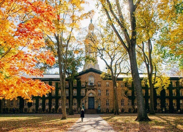 プリンストン大学