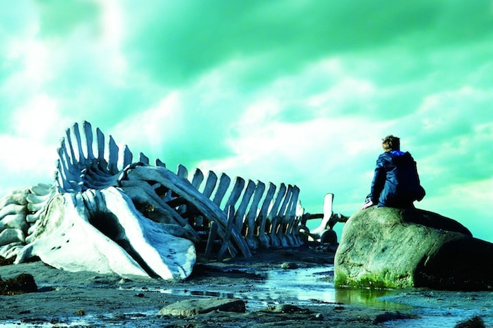 『裁かれるは善人のみ』。ロシアの広大で荘厳なロケーションが、深淵で普遍的な物語を際立たせる