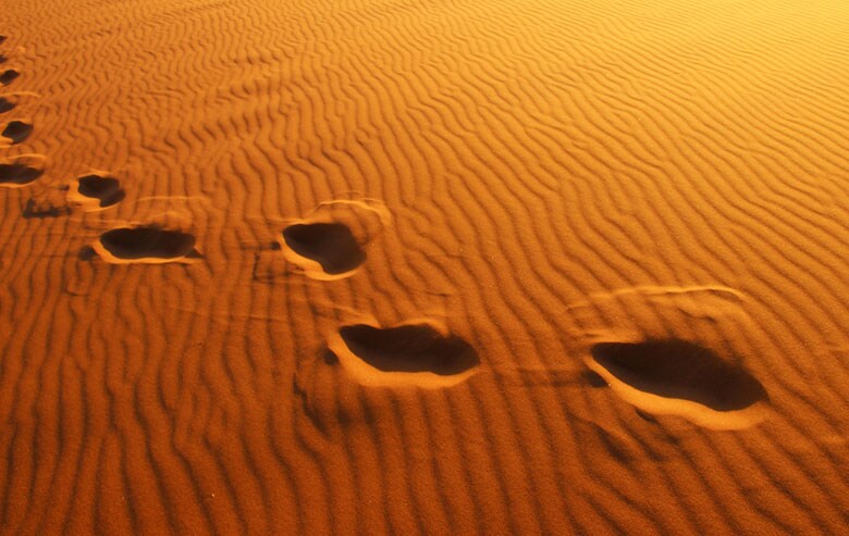 地元住民らは砂漠の脆弱な生態系が荒らされたと抗議（写真はナミビアの砂漠）　ValerieVS-iStock.