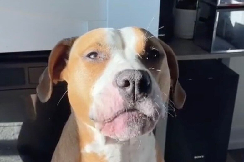 @heymynamesluna-TikTok