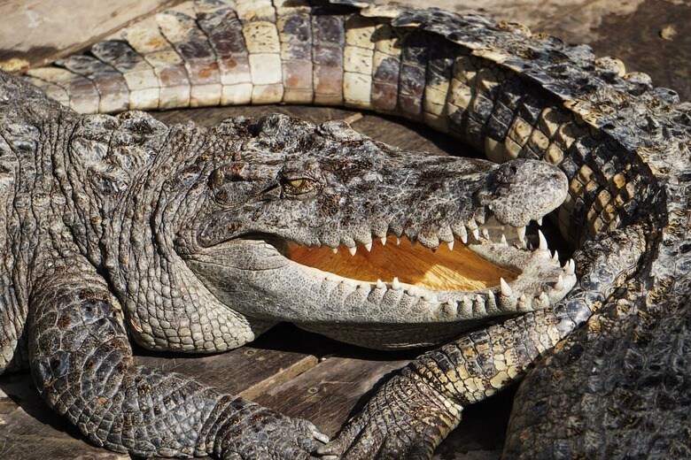 （写真はイメージです）　MDArmstrong-Shutterstock