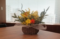 【国際女性デー】伝統的日本企業が「女性管理職比率を3倍」にするためにやったこと