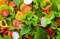 レタスの葉に「密集した無数の球体」が...「いつものサラダ」に混入していた「おぞましい物体」にネット戦慄