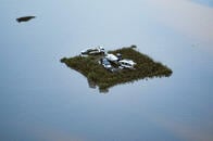 豪ほぼ全州に警報　「100年に1度の大洪水」で住宅が流される被害も