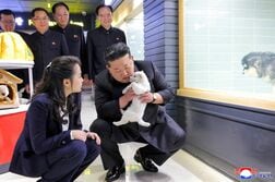 アングル：北朝鮮で「政府公認の娯楽」ブーム、金総書記の狙いは消費経済の掌握