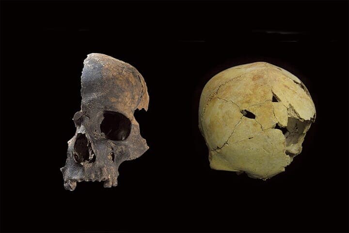 イングランド南西部の初期青銅器時代の遺跡から出土した頭蓋骨の外傷