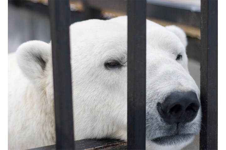 Andrey_Kuzmin-iStock.