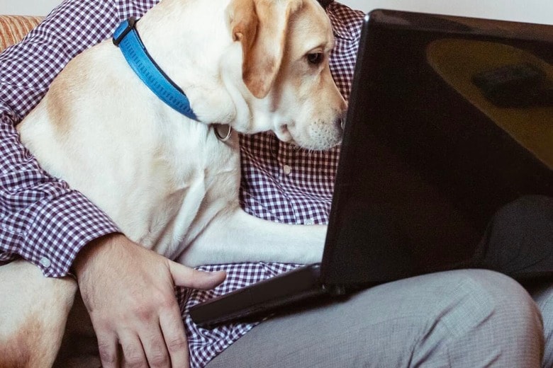 （写真はイメージです）　Ika84-iStock