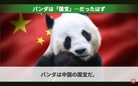 日本に迫る「ゼロパンダ」の未来...中国はもう貸さない？そもそも「パンダは必要？」【アニメで解説】