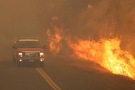 カリフォルニア史上最大の山火事にトランプがトンデモ発言