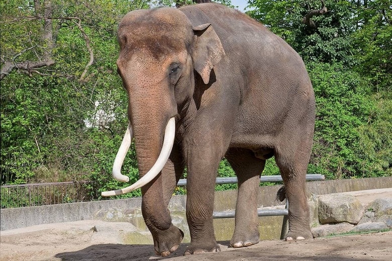 （写真はイメージです）　Spiks-Shutterstock