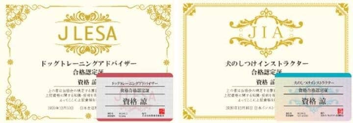 犬のしつけ資格の証明書