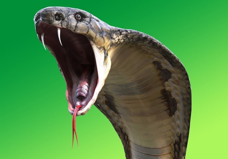 （写真はイメージです）　mrjo2405-iStock