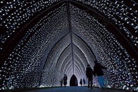 毎年恒例のイベントが今年もスタート...「光のトンネル」を歩けば気分はもうクリスマス