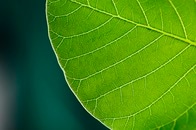 太陽光だけで二酸化炭素をエネルギー資源に変換する新たな分子が誕生
