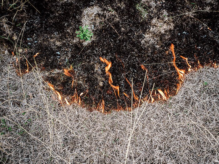 野火で焼けた草木。アルメニアとアゼルバイジャンの緊張は数十年にわたり続いている