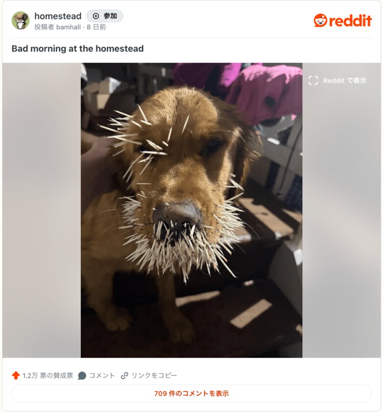 スクリーンショット 2026-02-19 10.31.52.png