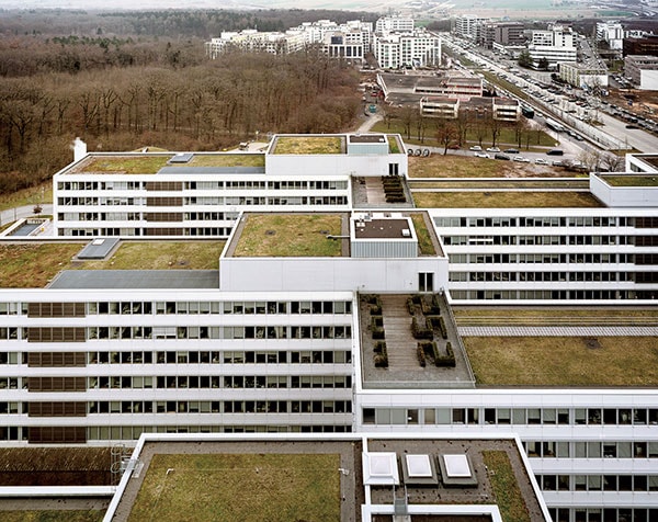 ppgreen05.jpg