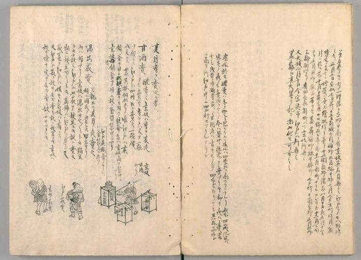 江戸時代、甘酒は冬ではなく夏メインの飲み物