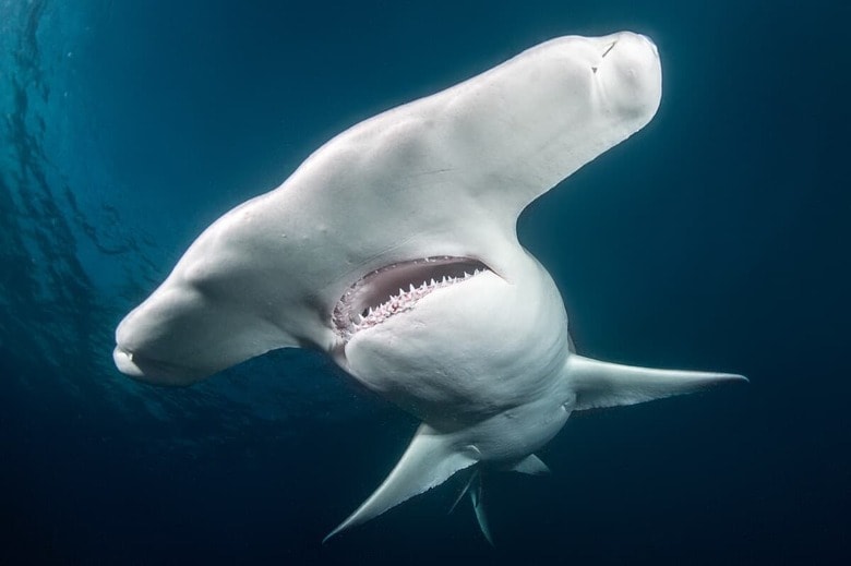（写真はイメージです）　EXTREME-PHOTOGRAPHER-iStock
