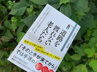 道路を渡り切れない老人は日本に300万人以上、その理由