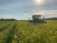 米農家、土壌の健康を回復し炭素を吸収する｢カバークロップ｣に着目