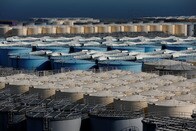 「福島の魚を一生食べ続けてもトリチウム摂取量はバナナひと口分」──処理水放出、海外専門家の見方