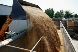 ウクライナ穀物輸出に重要な橋が損傷、国営鉄道会社発表
