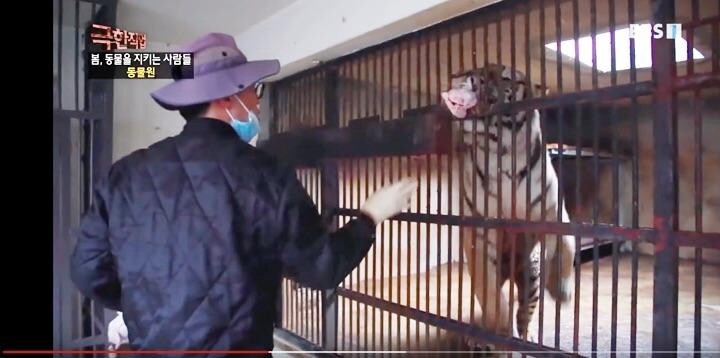 全州動物園の活動を取り上げた韓国教育公社の「極限職業」より　 EBSDocumentary (EBS 다큐)/YouTube