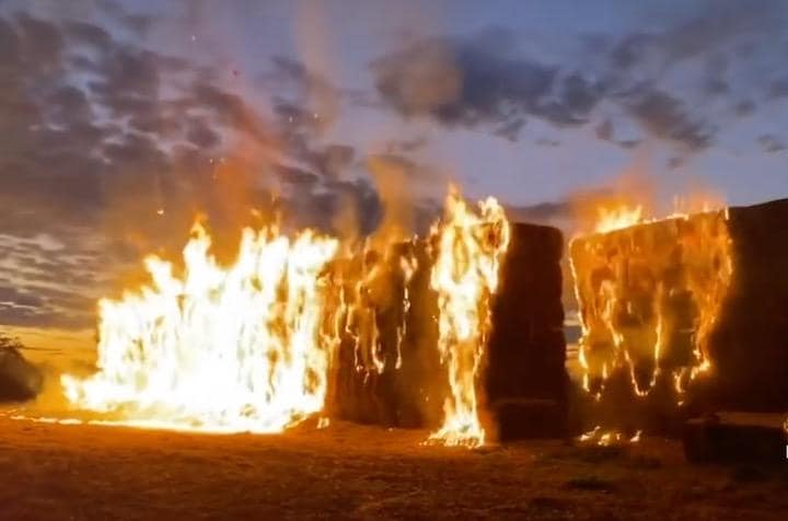ネズミに侵入された干し草は焼却された　　7NEWS Australia-YouTube