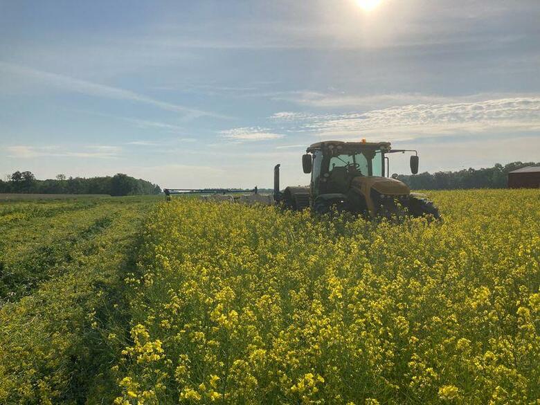 米イリノイ州で農家を営むジャック・マコーミックさんは昨秋、農閑期の作物として大麦とラディッシュを350エーカーに植えた。写真はオハイオ州プレーンシティーで2021年5月撮影（2022年　ロイター/Dave Gruenbaum）