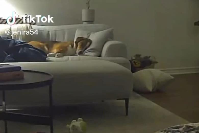 @jenira54-TikTok
