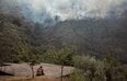 災害のあと、私たちはどう生きるのか──ポルトガル山火事が問いかけること【写真特集】